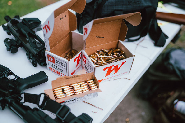 Gun Safety 101